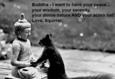 buddha_squirrel