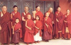 Lineage Lamas Younger